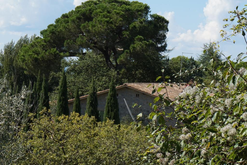 Casa Lucia In Chianti Bed & Breakfast Vagliagli ภายนอก รูปภาพ